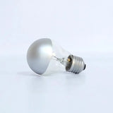 Silver Bright Tipped 100 Watt Filament Shadow Light Bulb – Set of 2 bulbs